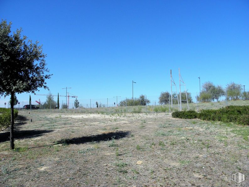 Suelo en alquiler en El Encinar, Boadilla del Monte, Madrid, 28660 con cielo, planta, comunidad de plantas, árbol, paisaje natural, lote de tierra, hierba, llanura, paisaje y zona rural alrededor