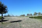 Suelo en alquiler en El Encinar, Boadilla del Monte, Madrid, 28660 con cielo, planta, comunidad de plantas, árbol, paisaje natural, lote de tierra, hierba, llanura, paisaje y zona rural alrededor