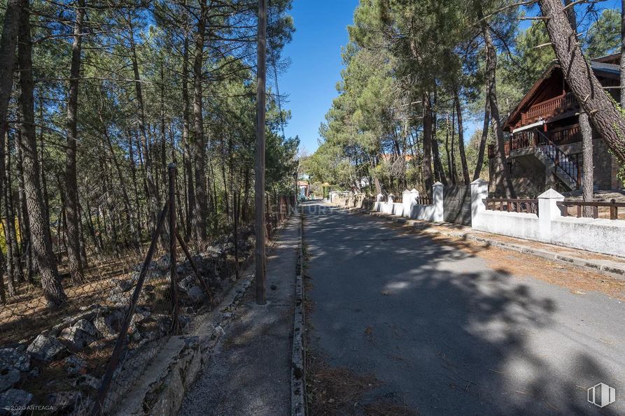 Land for sale at Calle Pino, Las Navas del Marqués, Ávila, 05239 with sky, plant, tree, road surface, asphalt, wood, landscape, road, trunk and winter around