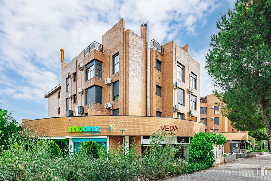 Local en alquiler en Calle Torrecilla del Puerto, 5, Ciudad Lineal, Madrid, 28043 con planta, nube, cielo, edificio, ventana, árbol, diseño urbano, barrio, zona residencial y condominio alrededor