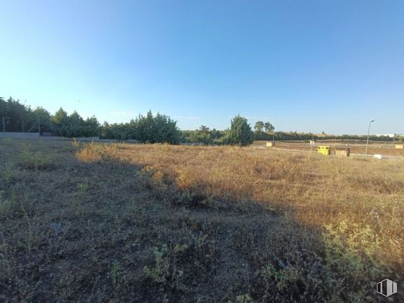 Land for sale at Calle Cabeza Tocón, Valmojado, Toledo, 45940 with sky, plant, natural landscape, tree, agriculture, grass, plain, landscape, horizon and grassland around