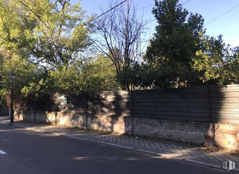 Land for sale at Calle Alsasua, Moncloa - Aravaca, Madrid, 28023 with plant, sky, shade, branch, road surface, land lot, asphalt, residential area, neighbourhood and grass around