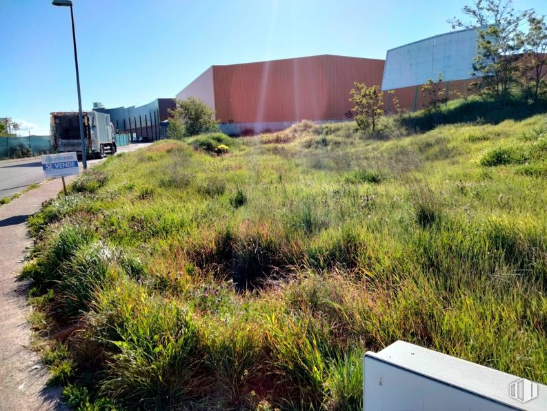 Land for sale at Polígono Suelo Urbanizable Industrial, Torija, Guadalajara, 19190 with sky, plant, daytime, plant community, leaf, building, natural environment, land lot, vegetation and street light around