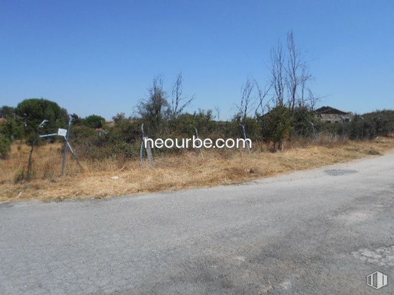 Land for sale at La Cañada, Herradón de Pinares, Ávila, 05294 with sky, plant, natural landscape, tree, road surface, asphalt, woody plant, plain, grassland and horizon around