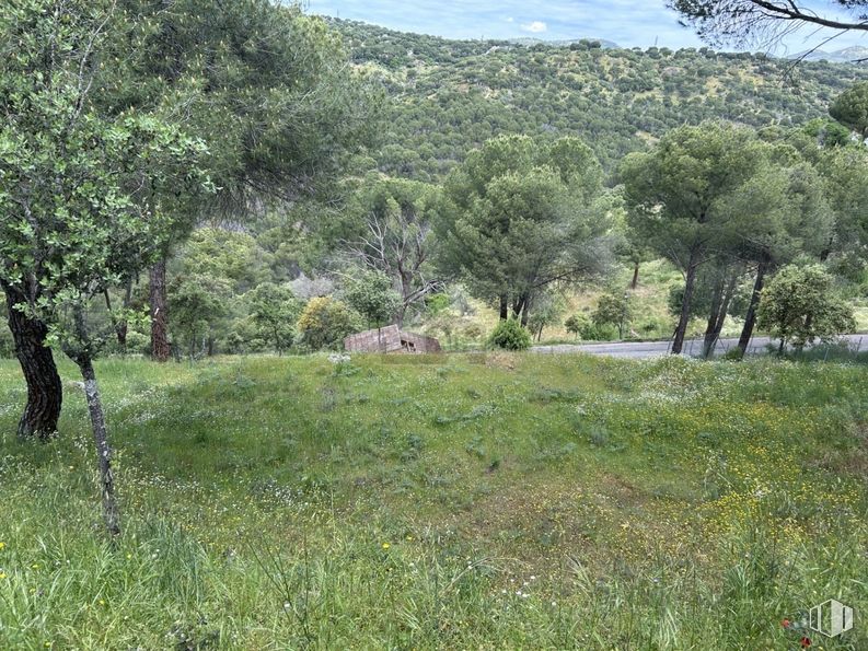 Suelo en venta en Calle Encina, Navas del Rey, Madrid, 28695 con planta, árbol, paisaje natural, cielo, lote de terreno, montaña, paisaje, nube, llano y hierba alrededor