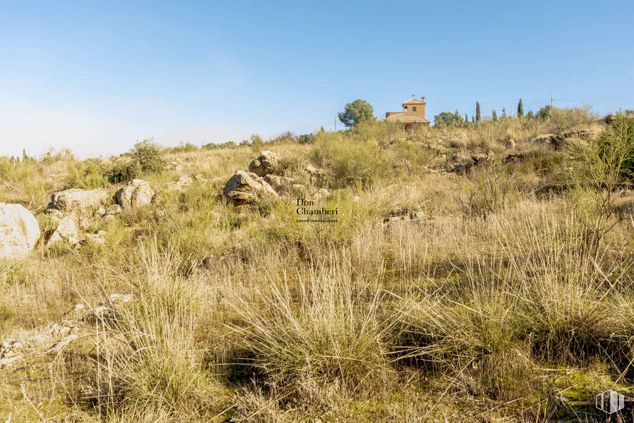 Land for sale at Urbanización La Pozuela, Toledo, 45004 with person, animal, sky, plant, plant community, natural landscape, land lot, grassland, grass and plain around