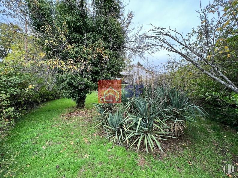 Land for sale at Carretera de Madrid, Miraflores de la Sierra, Madrid, 28792 with plant, plant community, natural landscape, sky, cloud, tree, shrub, groundcover, grass and landscape around