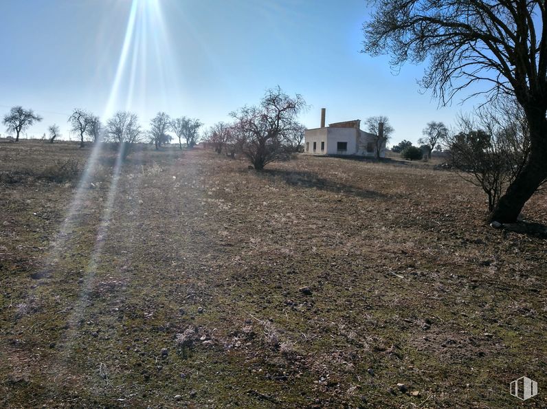 Land for sale at N-301, Quintanar de la Orden, Toledo, 45800 with sky, plant, natural landscape, road surface, tree, land lot, vegetation, grass, plain and grassland around