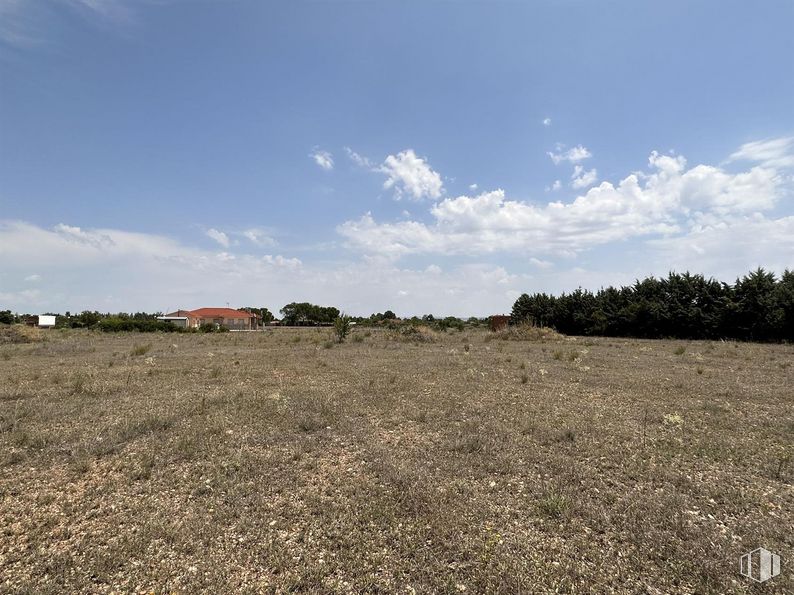 Land for sale at Urbanización El Cuartillejo, Illana, Guadalajara, 19119 with sky, cloud, plant, natural landscape, grass, plain, horizon, agriculture, grassland and landscape around