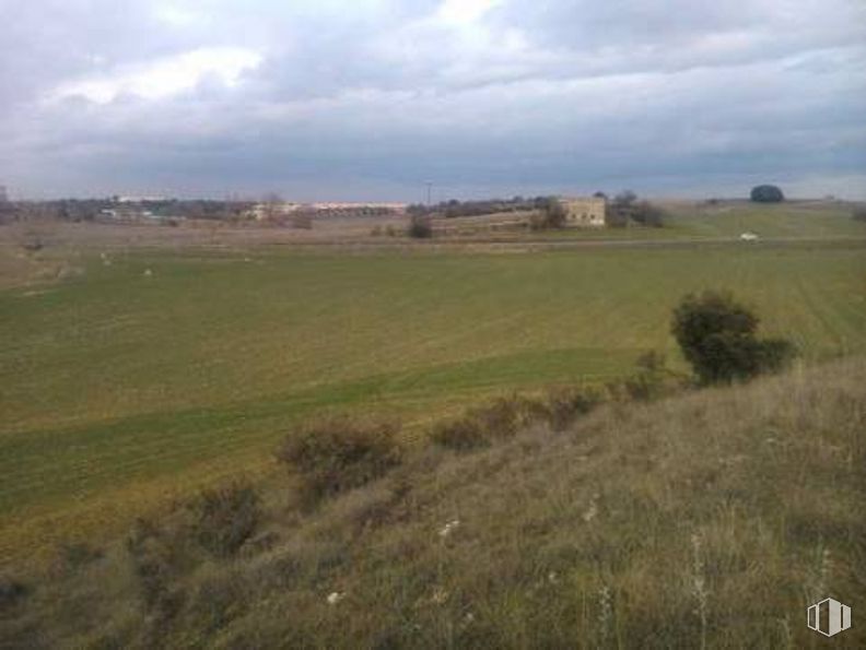 Land for sale at Sector S.U. 15 Polígono 6 Parcela 148, Pioz, Guadalajara, 19162 with plant, cloud, sky, natural landscape, tree, land lot, atmospheric phenomenon, landscape, grass and plain around