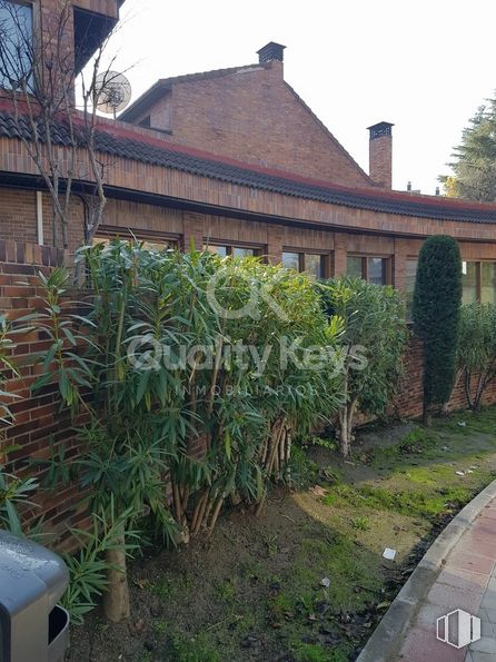 Oficina en venta en Avenida Cardenal Oria, Fuencarral - El Pardo, Madrid, 28035 con planta, botánica, ventana, accesorio, vegetación, planta terrestre, arbusto, planta floreciendo, fachada y cobertura del suelo alrededor