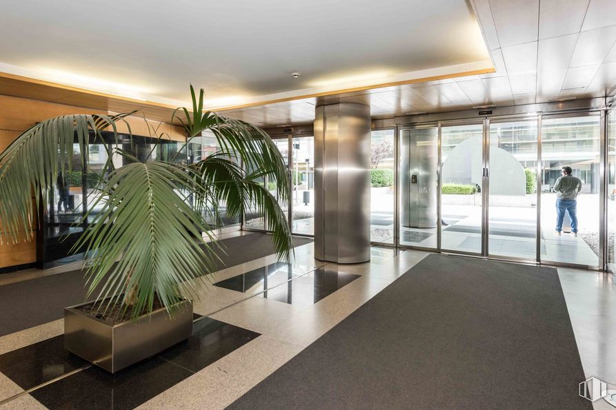 Oficina en alquiler en 521HUB - Edificio II, Calle Marie Curie, 19, Rivas-Vaciamadrid, Madrid, 28529 con persona, planta de interior, maceta, planta, propiedad, accesorio, edificio, diseño de interiores, encendiendo, arquitectura, suelo, piso y pared alrededor