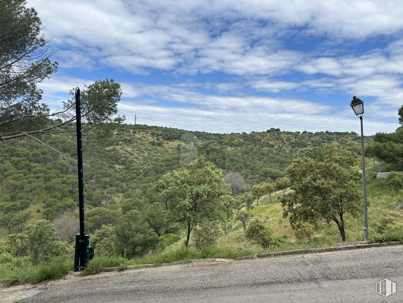 Suelo en venta en Calle Encina, Navas del Rey, Madrid, 28695 con nube, cielo, planta, comunidad vegetal, ecorregión, paisaje natural, árbol, luz de la calle, lote de terreno y vegetación alrededor