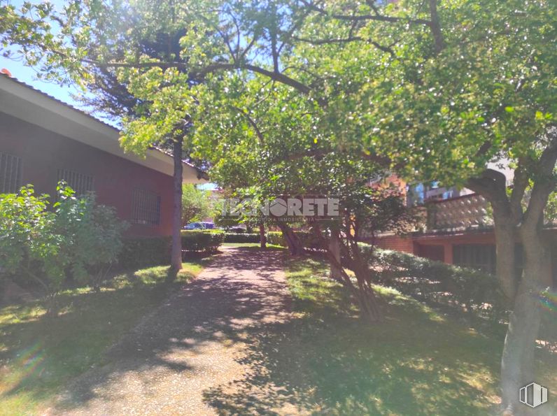 Retail for sale at Calle General Vives Camino, Guadalajara, 19003 with plant, shade, tree, branch, road surface, building, land lot, sunlight, grass and woody plant around