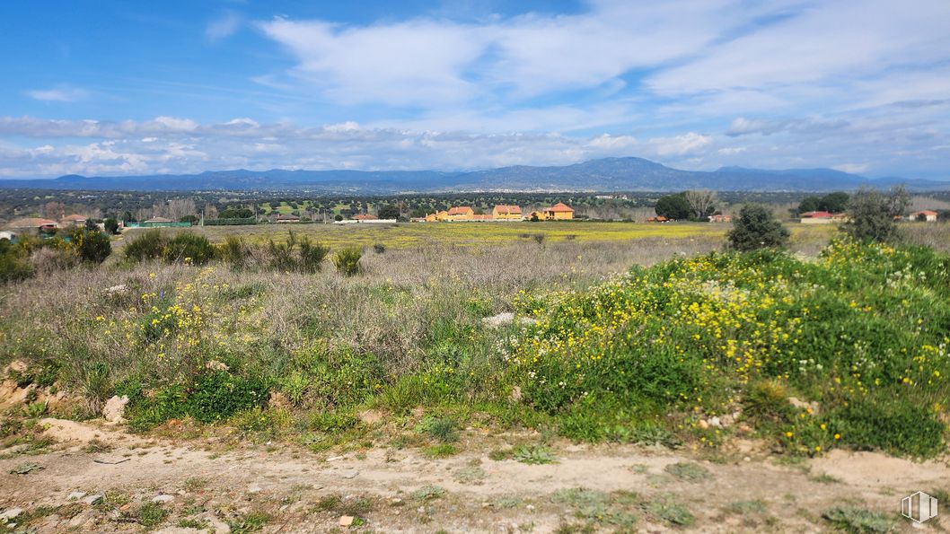 Land for sale at Zona Mirador de Fuente Romero, Hormigos, Toledo, 45919 with cloud, plant, sky, flower, natural landscape, land lot, grass, agriculture, plain and grassland around