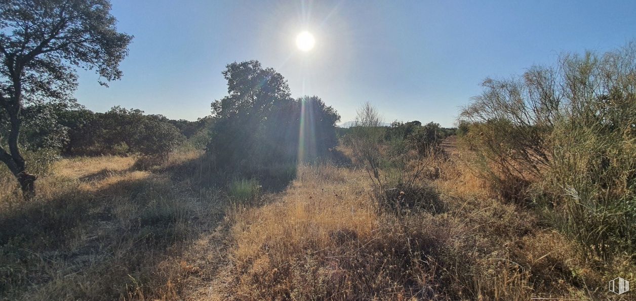 Land for sale at Urbanización Sector 1, Hormigos, Toledo, 45919 with sky, plant, cloud, natural landscape, branch, tree, sunlight, highland, mountain and woody plant around