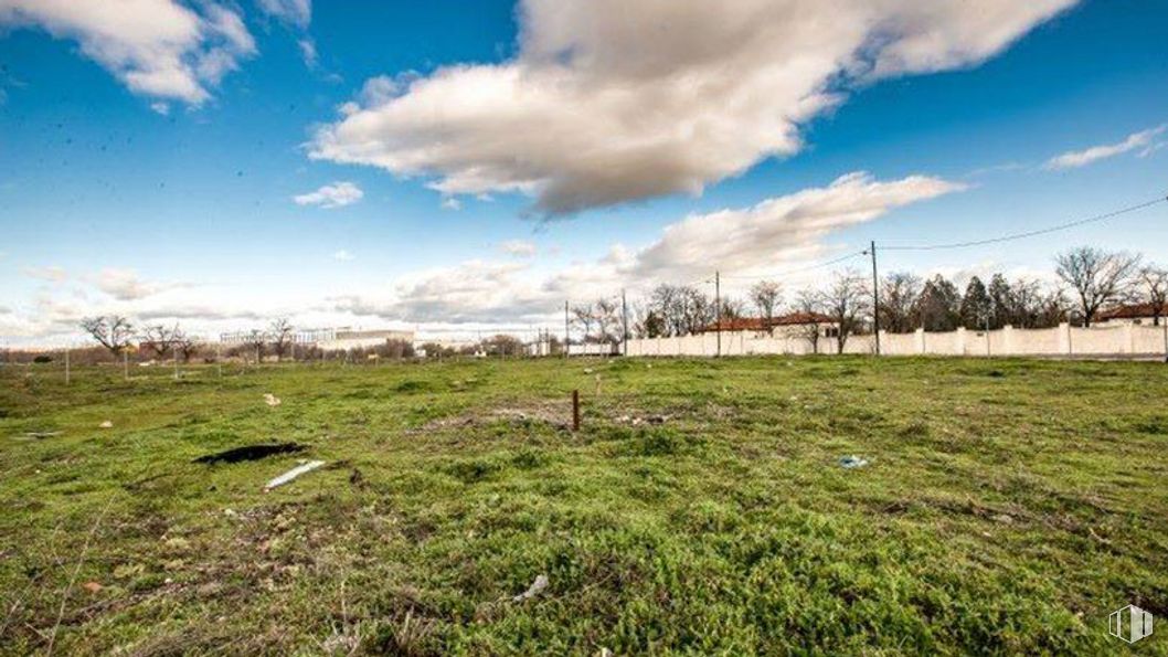 Land for sale at Avenida Aragón - Parcela T.3.5.402, 14, San Blas - Canillejas, Madrid, 28022 with cloud, sky, plant, tree, natural landscape, vegetation, grass, wood, cumulus and horizon around