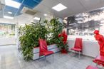 Retail for rent at Calle Juan XXIII, Coslada, Madrid, 28820 with chair, furniture, plant, interior design, floor, houseplant, leisure, flooring, urban design and city around