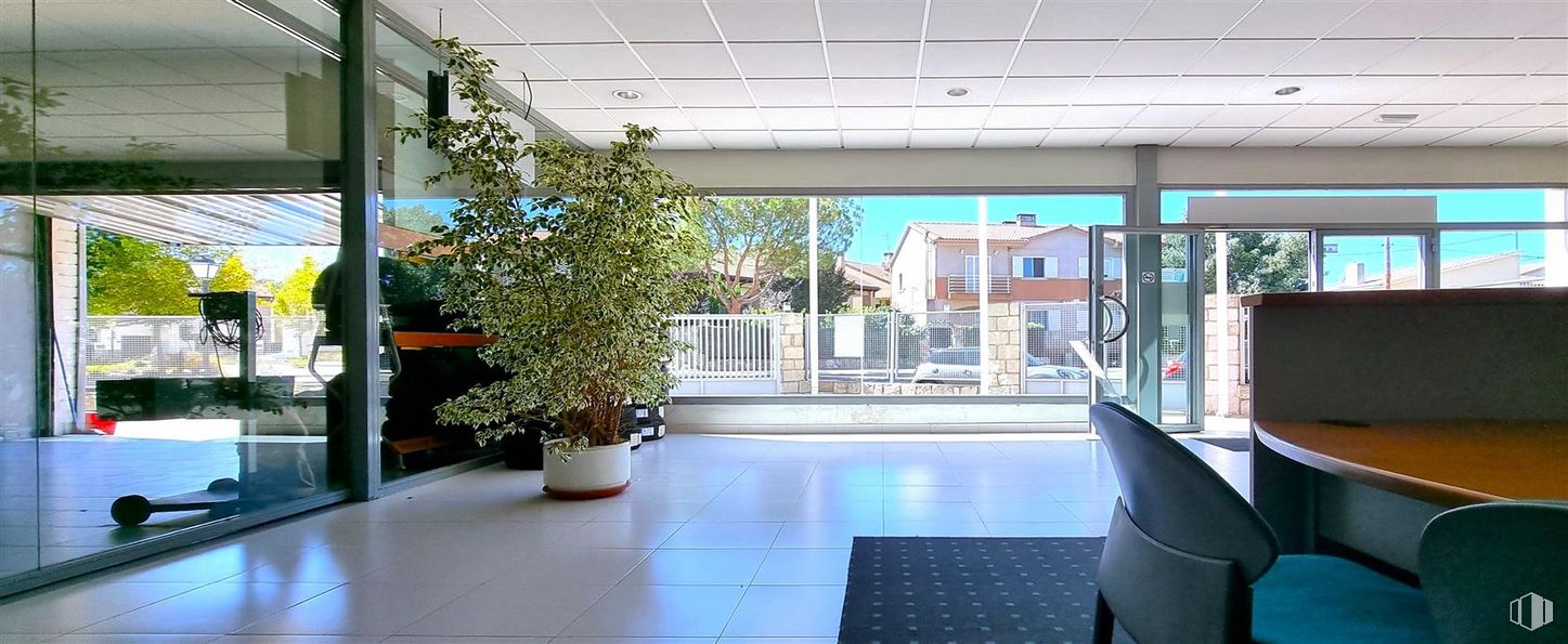 Nave en alquiler y venta en Carretera Torrelaguna, 5, Guadalix de la Sierra, Madrid, 28794 con planta de interior, planta, edificio, arquitectura, interiorismo, suelo, suelos, maceta, condominio y sombra alrededor