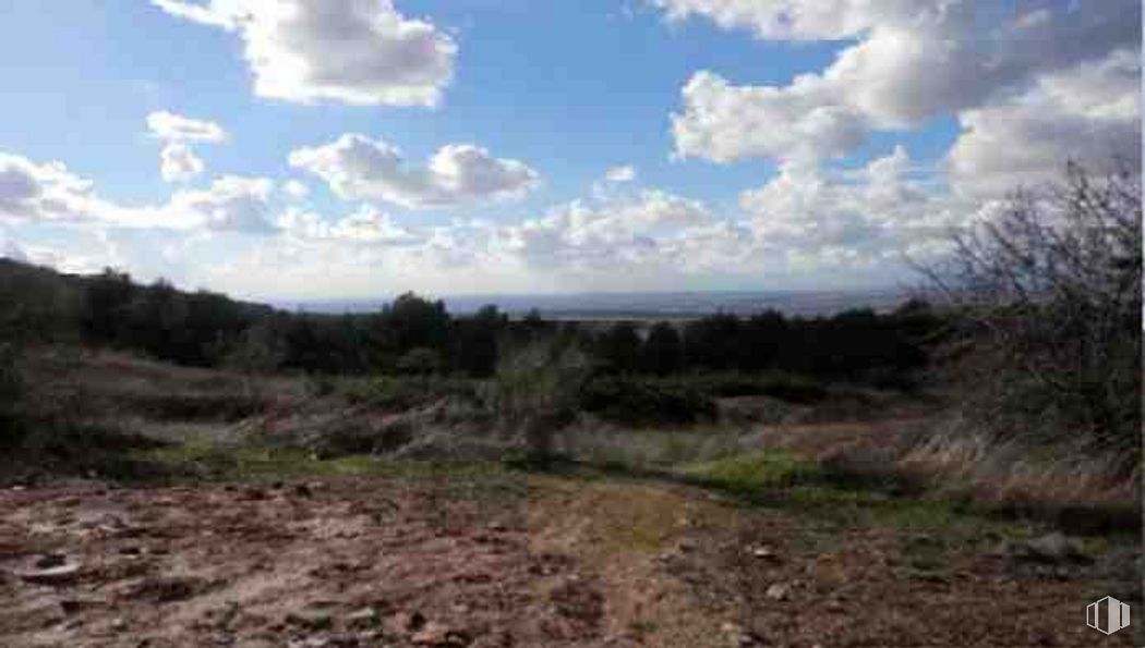 Suelo en venta en Avenida Casasola, Chiloeches, Guadalajara, 19160 con nube, cielo, planta, paisaje natural, tierras altas, cúmulo, árbol, llanura, accidentes geográficos montañosos y pastizal alrededor