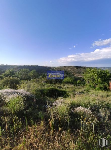 Suelo en venta en Camino Pililla, Horche, Guadalajara, 19140 con cielo, planta, nube, paisaje natural, hierba, llano, cúmulo, árbol, paisaje y horizonte alrededor