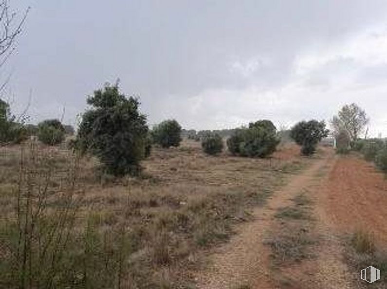 Land for sale at Zona El Provencio, El Provencio, Cuenca, 16670 with plant, sky, cloud, natural landscape, tree, plain, grassland, landscape, grass and hill around