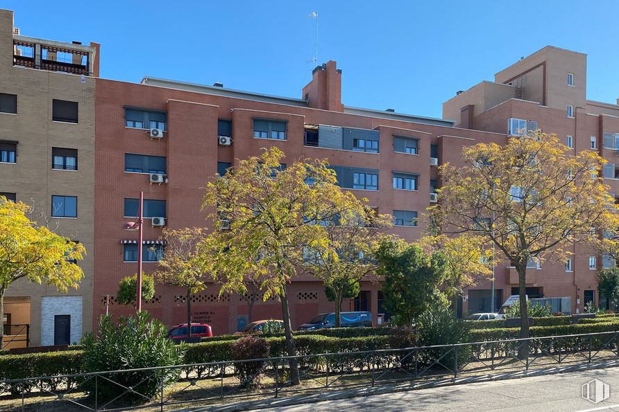 Retail for rent at Avenida Universidad, 13, Fuenlabrada, Madrid, 28942 with building, sky, plant, window, property, tree, urban design, condominium, tower block and woody plant around