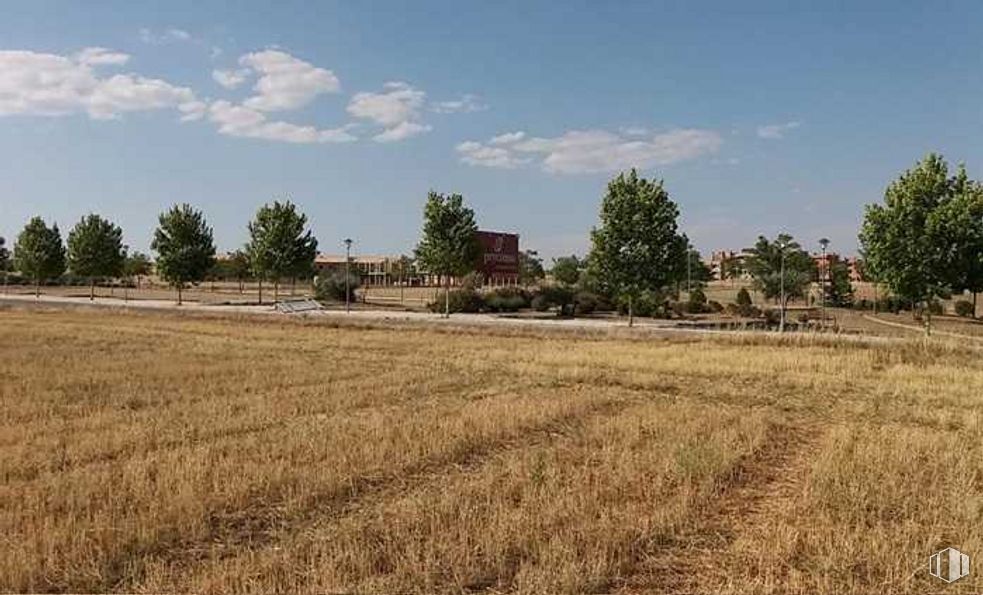 Suelo en venta en Calle Retamar, Villanueva de la Torre, Guadalajara, 19209 con edificio, cielo, nube, planta, árbol, paisaje natural, agricultura, hierba, prado y pastizal alrededor