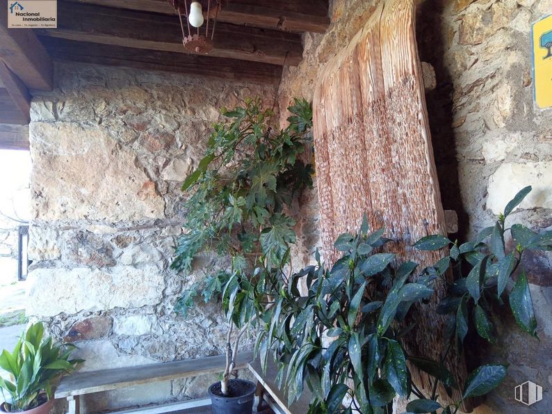 Retail for sale at Zona Collado Hermoso, Collado Hermoso, Segovia, 40170 with houseplant, plant, building, wood, grass, water, tree, house, facade and landscape around