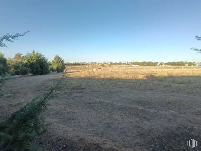 Land for sale at Calle Cabeza Tocón, Valmojado, Toledo, 45940 with sky, plant, plant community, tree, natural landscape, road surface, asphalt, grass, landscape and grassland around