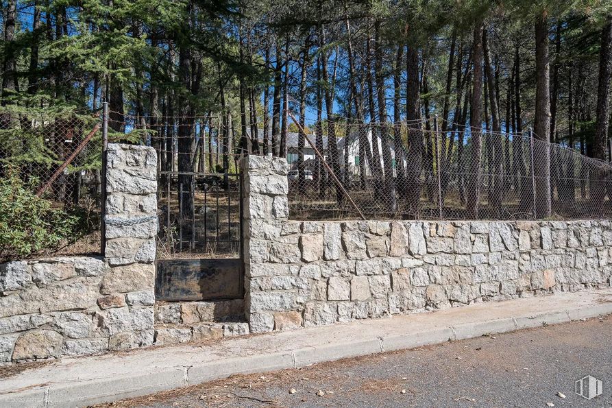 Land for sale at Calle Pino, Las Navas del Marqués, Ávila, 05239 with plant, wood, tree, trunk, stone wall, landscape, facade, composite material, home fencing and road surface around