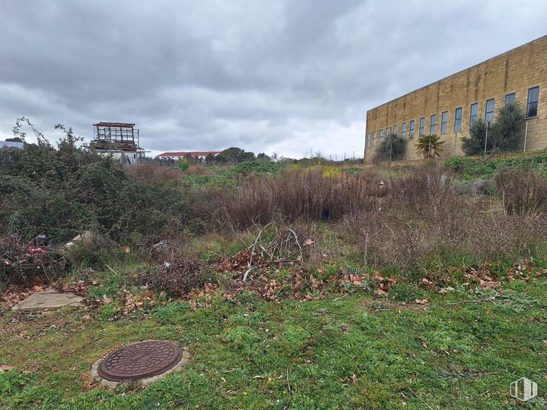 Suelo en venta en Zona industrial, Valdeolmos-Alalpardo, Madrid, 28130 con edificio, cielo, nube, planta, comunidad vegetal, paisaje natural, lote de terreno, hierba, zona rural y paisaje alrededor