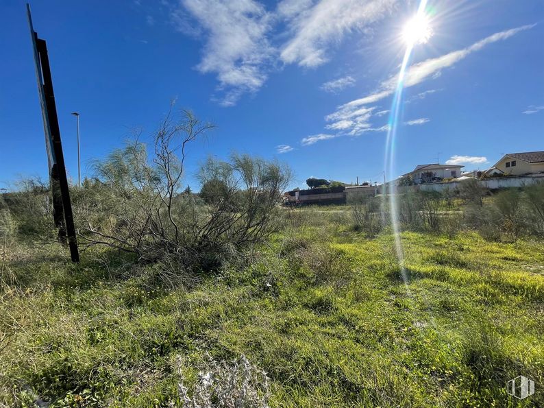 Land for sale at Calle Mártires, El Álamo, Madrid, 28607 with cloud, sky, plant, plant community, natural landscape, vegetation, sunlight, slope, grass and tree around