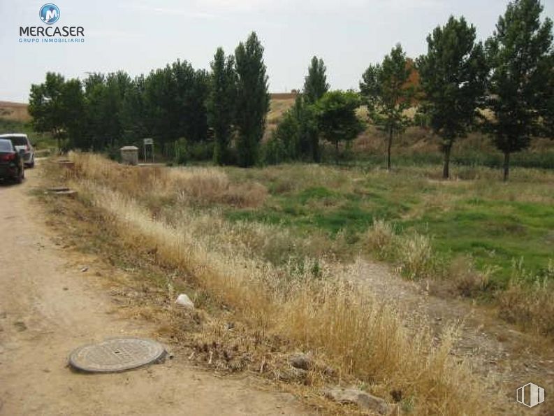 Land for sale at Calle Fuente, Torrejón del Rey, Guadalajara, 19174 with toy, plant, sky, plant community, tree, natural landscape, vehicle, car, land lot and road surface around