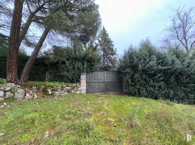 Suelo en venta en Calle Tablada, Alpedrete, Madrid, 28430 con planta, comunidad vegetal, cielo, árbol, paisaje natural, lote de terreno, nube, hierba, cubierta vegetal y paisaje alrededor