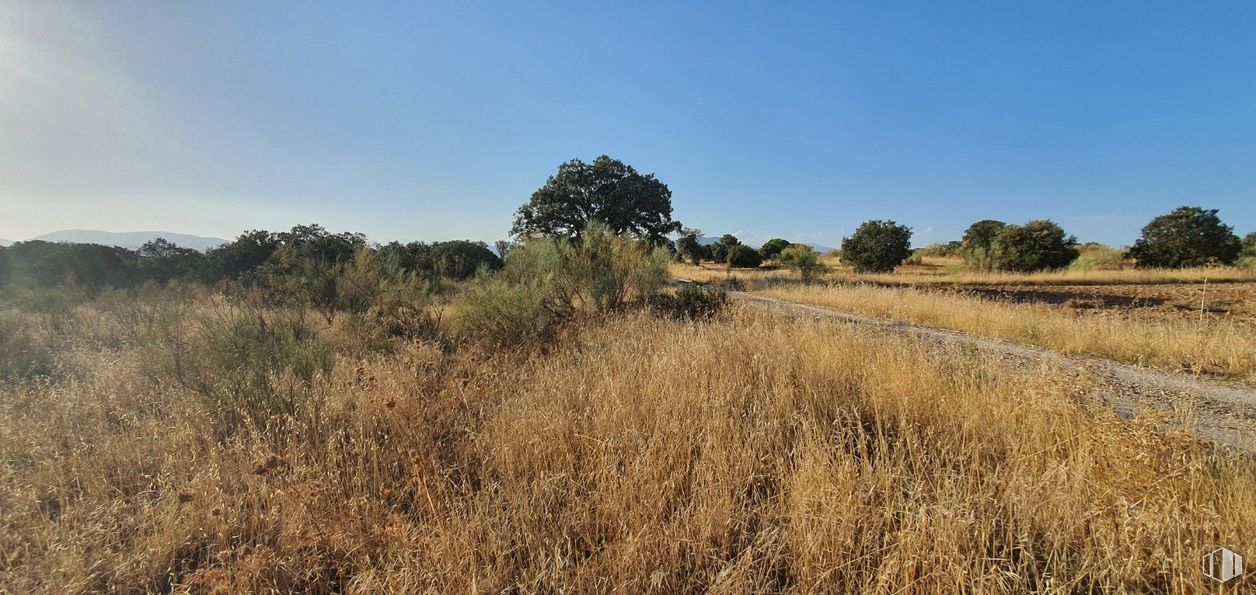 Land for sale at Urbanización Sector 1, Hormigos, Toledo, 45919 with sky, plant, tree, natural landscape, plain, landscape, grass, shrub, road and meadow around