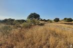 Land for sale at Urbanización Sector 1, Hormigos, Toledo, 45919 with sky, plant, tree, natural landscape, plain, landscape, grass, shrub, road and meadow around