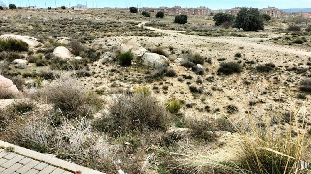 Land for sale at Zona hospital, Ávila, 05004 with plant community, plant, ecoregion, natural environment, natural landscape, bedrock, sky, grass, landscape and groundcover around