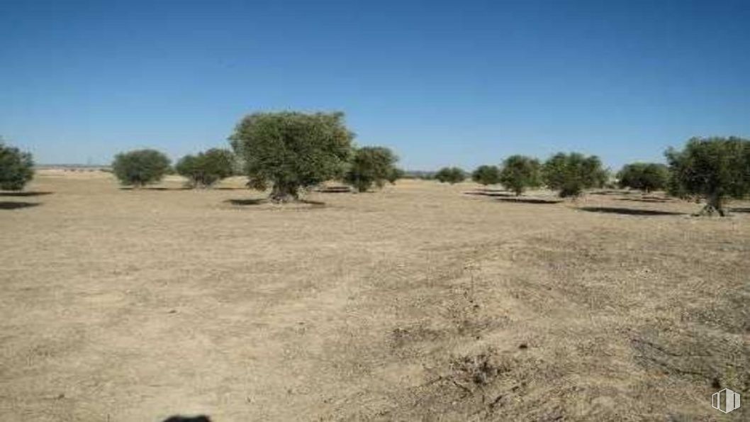 Suelo en venta en Los Cestos, Ciempozuelos, Madrid, 28350 con animal, cielo, planta, árbol, paisaje natural, pradera, carretera, hierba, paisaje y pradera alrededor