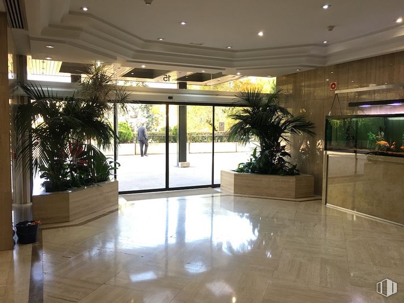 Office for rent at Edificio Magalar, Calle Juan Esplandiú, 15, Retiro, Madrid, 28007 with plant, flowerpot, property, interior design, fixture, shade, real estate, tints and shades, ceiling, leisure and houseplant around