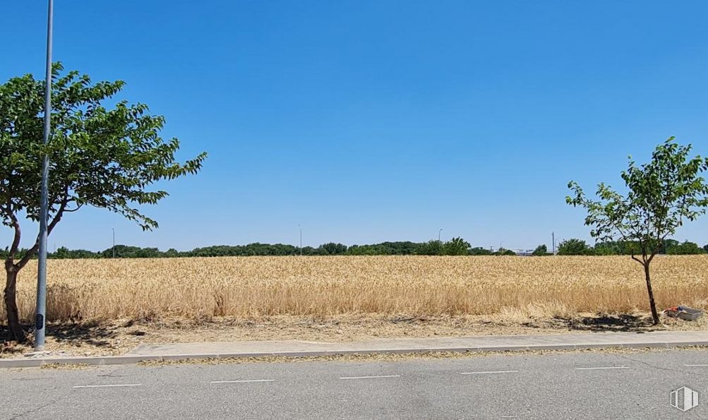 Suelo en venta en Calle Sierra Madrona, Illescas, Toledo, 45200 con cielo, planta, ecorregión, árbol, paisaje natural, azure, entorno natural, superficie de la carretera, asfalto y hierba alrededor