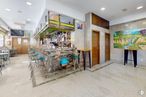 Retail for sale at Calle Pont de Molins, Puente de Vallecas, Madrid, 28038 with chair, furniture, interior design, shelf, floor, flooring, houseplant, building, leisure and ceiling around