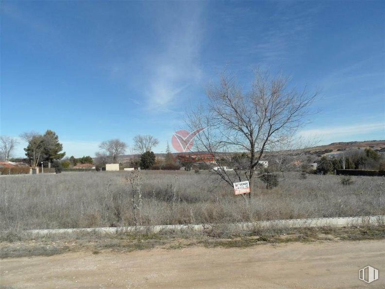 Land for sale at Villar, Villar de Cañas, Cuenca, 16433 with sky, cloud, plant, tree, natural landscape, branch, land lot, house, woody plant and plain around