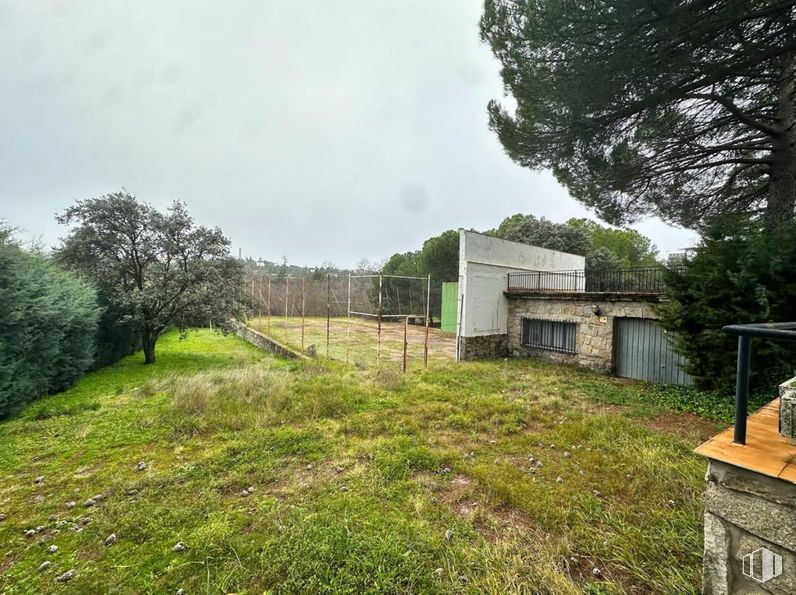 Suelo en venta en Calle Tablada, Alpedrete, Madrid, 28430 con planta, cielo, comunidad vegetal, árbol, lote de terreno, paisaje natural, madera, hierba, casa rural y paisaje alrededor