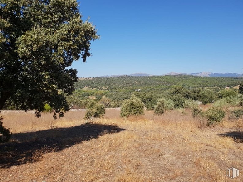 Local en venta en Avenida Serranía Ronda, Valdemorillo, Madrid, 28210 con cielo, planta, comunidad de plantas, paisaje natural, lote de tierra, árbol, llanura, hierba, arbusto y pastizal alrededor