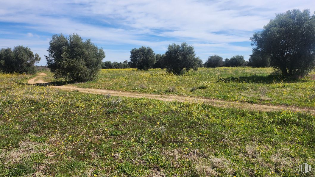 Land for sale at Zona Mirador de Fuente Romero, Hormigos, Toledo, 45919 with sky, cloud, plant, tree, natural landscape, agriculture, grass, shrub, groundcover and grassland around