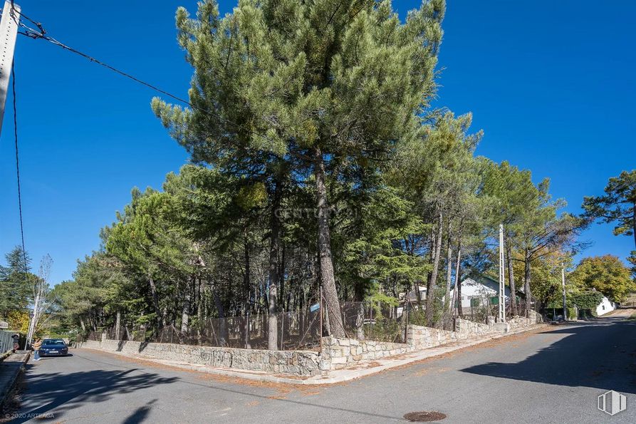 Land for sale at Calle Pino, Las Navas del Marqués, Ávila, 05239 with sky, plant, blue, road surface, leaf, branch, tree, asphalt, thoroughfare and street light around