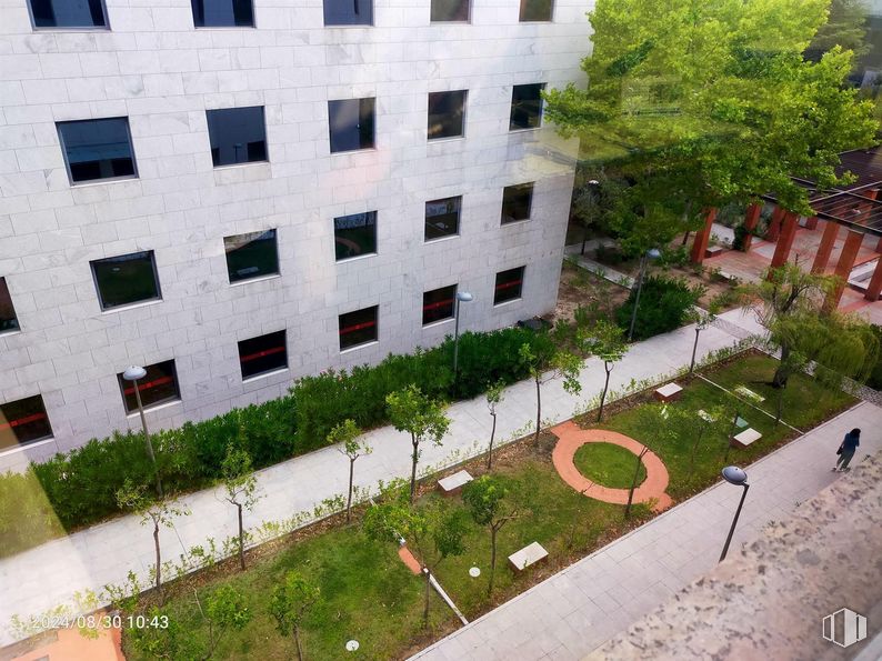 Oficina en venta en Calle Fuerteventura, 4, San Sebastián de los Reyes, Madrid, 28700 con ventana, planta, arquitectura, árbol, diseño urbano, condominio, edificio, fachada, inmobiliario y cubierta vegetal alrededor