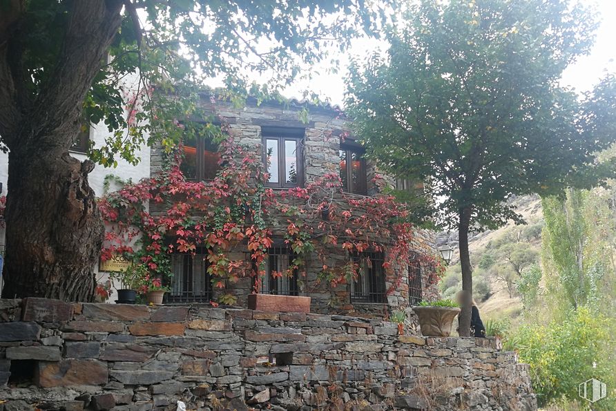 Retail for sale & for rent at Calle Arroyo, Patones, Madrid, 28189 with window, house, building, plant, flower, wood, tree, cottage, landscape and shrub around