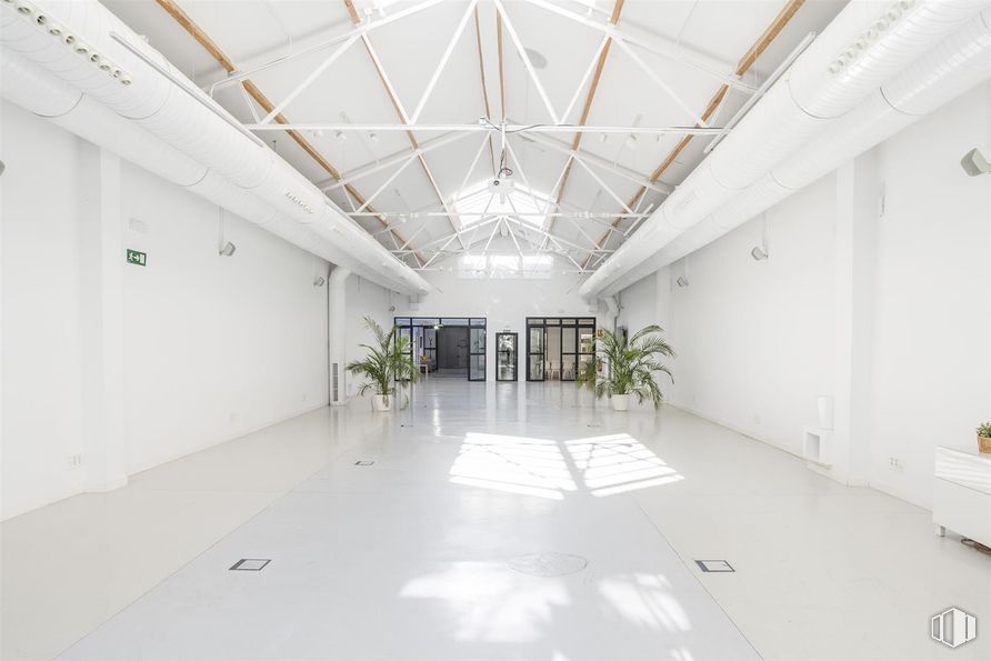 Retail for sale at Calle Coruña, 19, Tetuán, Madrid, 28020 with houseplant, ceiling, floor, flooring, interior design, light fixture, hall, design, daylighting and lobby around